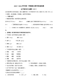 2023-2024学年河北省保定市高阳县部编版五年级上册期末考试语文试卷（原卷版+解析版）