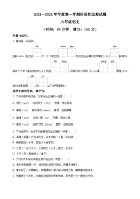 2023-2024学年山东省枣庄市山亭区部编版六年级上册期末考试语文试卷（原卷版+解析版）