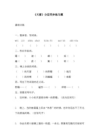 小学天窗同步练习题