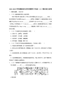 2022-2023学年湖南省长沙市芙蓉区六年级上学期期末语文试卷（含答案）