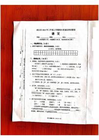 66，湖南省怀化市洪江市2023-2024学年三年级上学期期末语文试题(1)