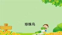 小学语文人教部编版五年级上册珍珠鸟背景图课件ppt