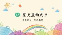 小学语文人教部编版六年级上册夏天里的成长课文配套课件ppt