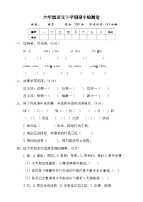 期中检测卷-2023-2024学年语文六年级下册统编版