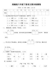 期末检测卷（试题）2023-2024学年统编版语文六年级下册