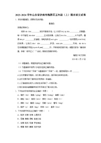 2023-2024学年山东省济南市槐荫区五年级上学期期末语文试卷（含答案）