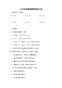 小升初质量检测（试题）2023-2024学年统编版语文六年级下册.2