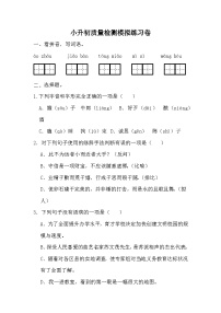 小升初质量检测模拟练习卷（二）-2023-2024学年语文六年级下册统编版