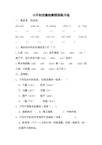 小升初质量检测模拟练习卷（一）-2023-2024学年语文六年级下册统编版