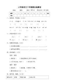 期末检测卷（试题）2023-2024学年统编版语文三年级下册