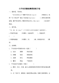 小升初质量检测模拟练习卷（八）-2023-2024学年语文六年级下册统编版