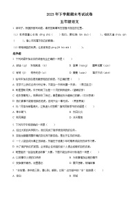 2023-2024学年湖南省邵阳市武冈市部编版五年级上册期末考试语文试卷（原卷版+解析版）