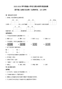 2023-2024学年福建省泉州市惠安县部编版六年级上册期末考试语文试卷（原卷版+解析版）