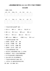 2022-2023学年云南省楚雄州南华县部编版六年级下册期中考试语文试卷（原卷版+解析版）