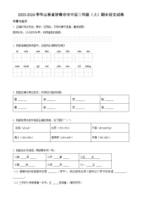 2023-2024学年山东省济南市市中区部编版三年级上册期末考试语文试卷（原卷版+解析版）