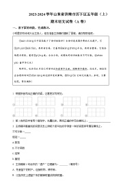 2023-2024学年山东省济南市历下区部编版五年级上册期末考试语文试卷（A卷）（A卷+A卷）