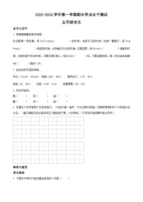 2023-2024学年江苏省宿迁市泗阳县部编版五年级上册期末考试语文试卷（原卷版+解析版）