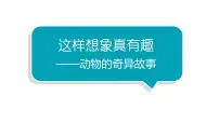 人教部编版三年级下册第八单元习作：这样想象真有趣教学ppt课件