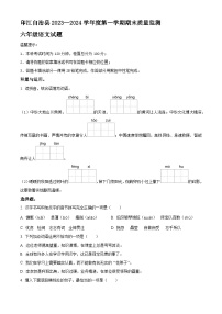 2023-2024学年贵州省铜仁市印江县部编版六年级上册期末考试语文试卷（原卷版+解析版）