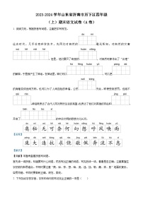 2023-2024学年山东省济南市历下区部编版四年级上册期末考试语文试卷（A卷）（原卷版+解析版）