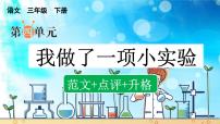 小学语文人教部编版三年级下册习作：我做了一项小实验多媒体教学课件ppt