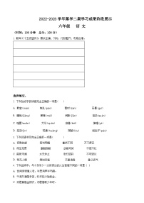 2022-2023学年山东省德州市经开区部编版六年级下册期中考试语文试卷（原卷版+解析版）