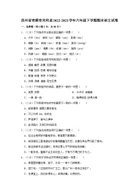 贵州省安顺市关岭县2022-2023学年六年级下学期期末语文试卷（含答案）