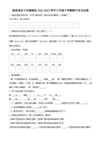 2022-2023学年陕西省汉中市城固县部编版六年级下册期中考试语文试卷（原卷版+解析版）