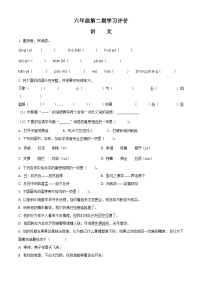 2022-2023学年山东省济宁市汶上县部编版六年级下册期中考试语文试卷（原卷版+解析版）