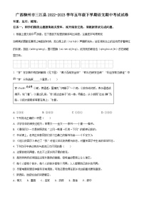 2022-2023学年广西壮族自治区柳州市三江县部编版五年级下册期中考试语文试卷（原卷版+解析版）