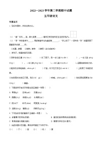 2022-2023学年山东省德州市庆云县部编版五年级下册期中考试语文试卷（原卷版+解析版）