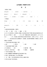 2022-2023学年山东省济宁市汶上县部编版五年级下册期中考试语文试卷（原卷版+解析版）