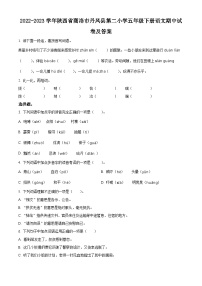 2022-2023学年陕西省商洛市丹凤县第二小学部编版五年级下册期中考试语文试卷（原卷版+解析版）