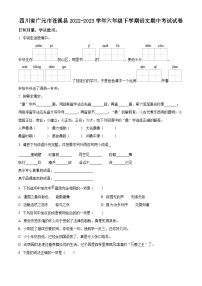 2022-2023学年四川省广元市苍溪县部编版六年级下册期中考试语文试卷（原卷版+解析版）