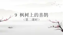 小学语文人教部编版二年级下册枫树上的喜鹊课前预习课件ppt