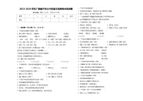 2023-2024学年广西南宁市小升初语文高频考点检测卷含答案