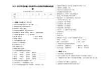 2023-2024学年河南少年先锋学校小升初语文高频考点检测卷含答案