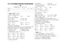 2023-2024学年海南省三亚市文昌市小升初总复习语文测试卷含答案