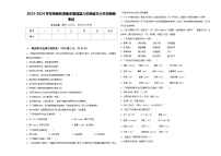 2023-2024学年陕西省渭南市蒲城县六年级语文小升初摸底考试含答案