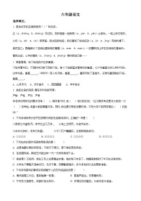 2022-2023学年山东省潍坊市昌乐县部编版六年级下册期中考试语文试卷（原卷版+解析版）