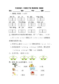 部编版一年级语文下册期末分层训练（基础卷）（含答案）