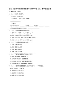 2022-2023学年河南省南阳市邓州市六年级下学期期中语文试卷（含答案）