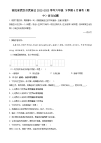 2022-2023学年湖北省武汉市武昌区部编版六年级下册期中考试语文试卷（原卷版+解析版）