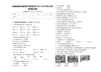 云南省昆明市云南师范大学附属小学2023-2024学年小升初考试语文试卷含答案