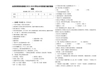 山东省菏泽市成武县2023-2024学年小升初总复习语文精选精练含答案