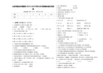 山东省烟台市海阳市2023-2024学年小升初易错点语文检测卷含答案