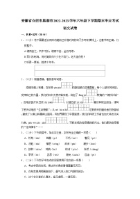 安徽省合肥市巢湖市2022-2023学年六年级下学期期末毕业考试语文试卷（含答案）