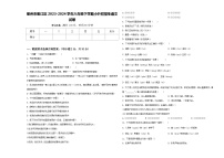 衢州市衢江区2023-2024学年六年级下学期小升初招生语文试卷含答案