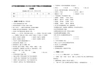 辽宁省沈阳市铁西区2024年六年级下学期小升初真题精选语文试卷含答案