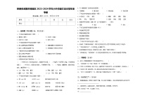 陕西省咸阳市杨陵区2023-2024学年小升初语文自主招生备考卷含答案